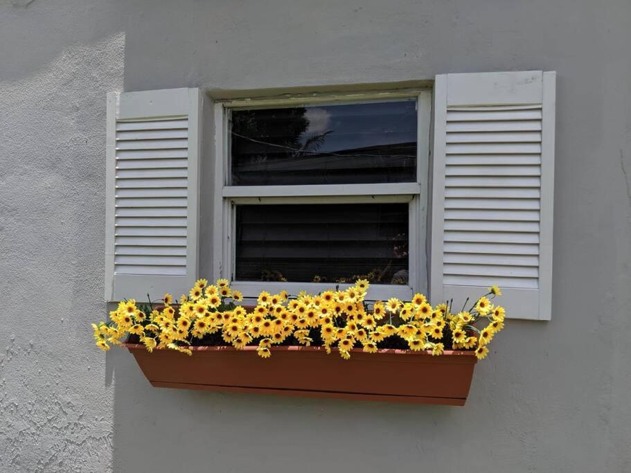 3 Bedroom Miami Home 15 Minutes To The Beach Εξωτερικό φωτογραφία